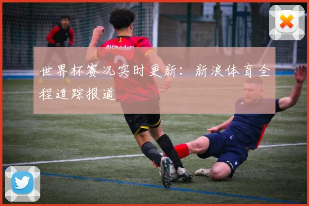 世界杯赛况实时更新：新浪体育全程追踪报道