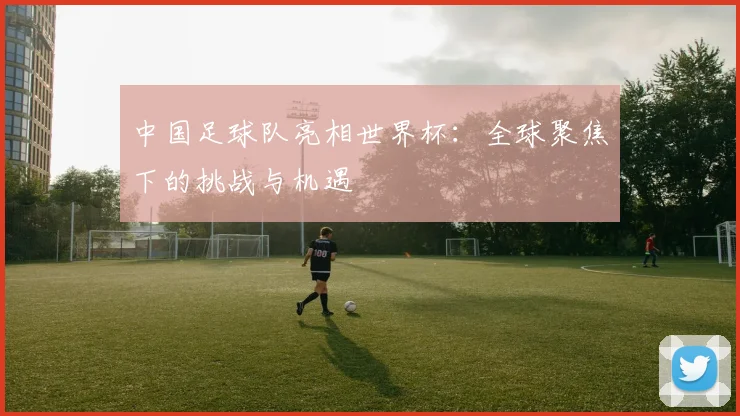 中国足球队亮相世界杯：全球聚焦下的挑战与机遇