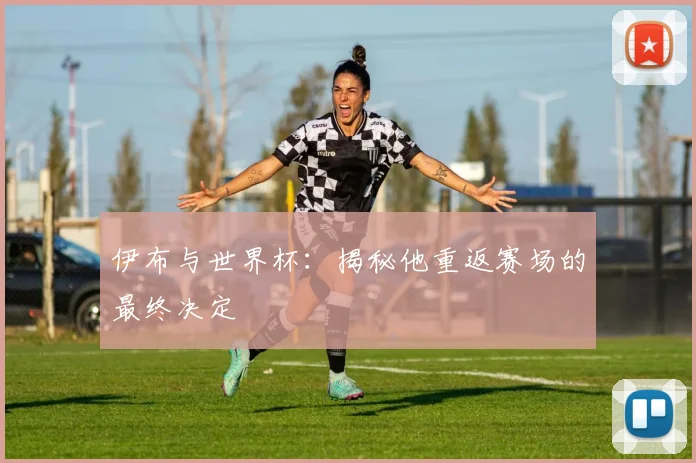 伊布与世界杯：揭秘他重返赛场的最终决定