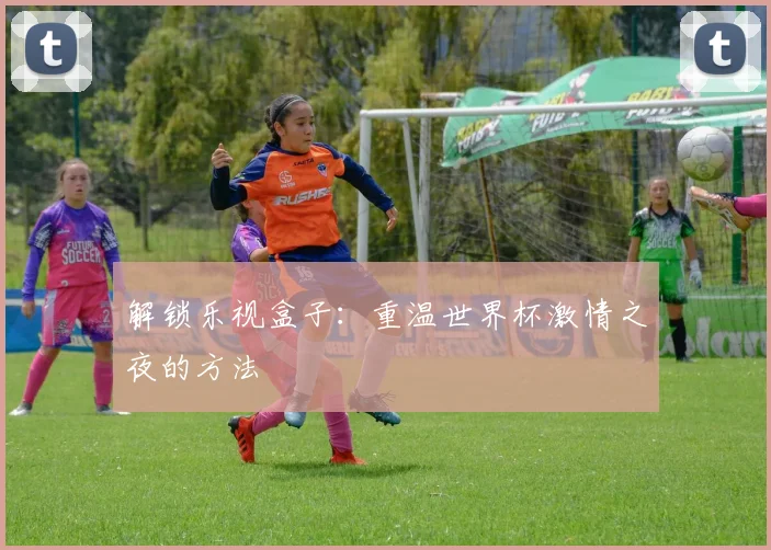 解锁乐视盒子：重温世界杯激情之夜的方法